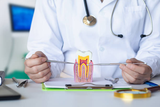 Best Emergency Orthodontic Repairs in Chlicothe, IL